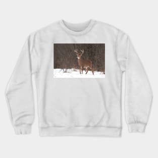 Bambi - White-tailed Buck Crewneck Sweatshirt